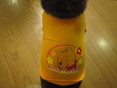 1号はスレンダーなのにぃーー(≧▽≦)