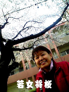 若女将桜