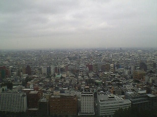 都庁２７階からの風景