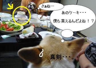 otanzyoubi 011.jpg