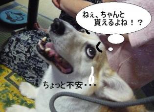 otanzyoubi 015.jpg