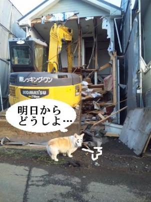 yasudake 009.jpg