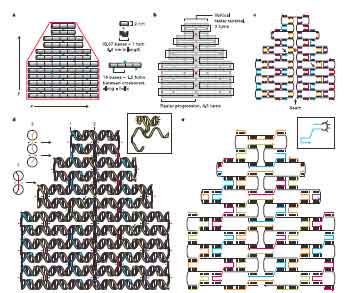 DNAorigami3