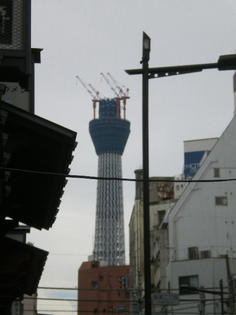 108暑気払ｽｶｲﾂﾘｰ