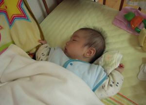 12012303.jpg