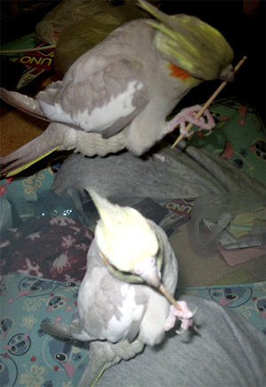 20110516-02