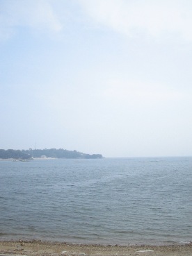 海辺のカフェより