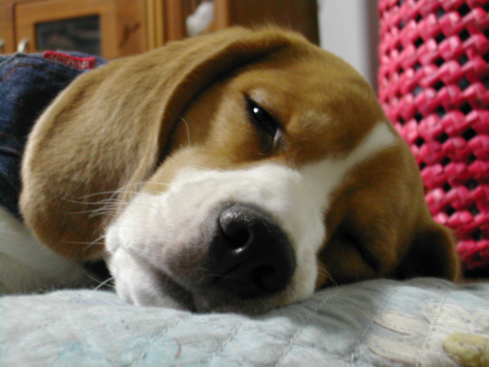 DSCN2624.JPG