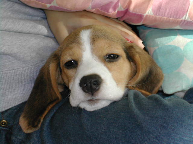 DSCN9891.JPG