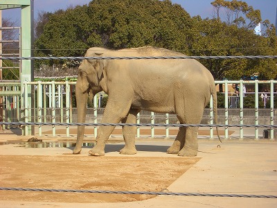 動物園