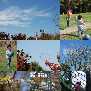 スポーツ公園　秋