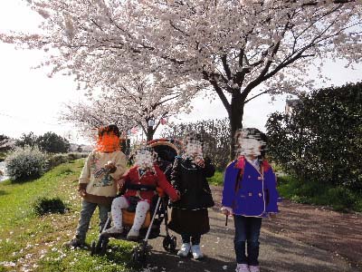 お花見　幼稚園のお友達と