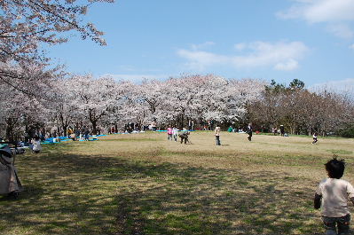 鳥屋野潟公園　2010春