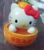 静岡　みかん2006