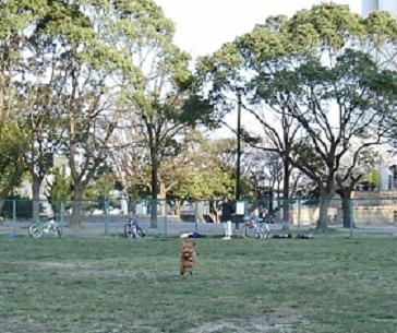 2006年4月8日c.JPG