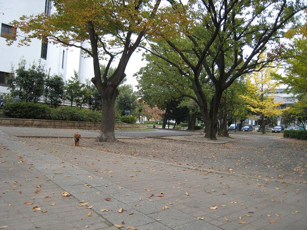 2006年11月19日(2)シャッター早すぎ。。.JPG