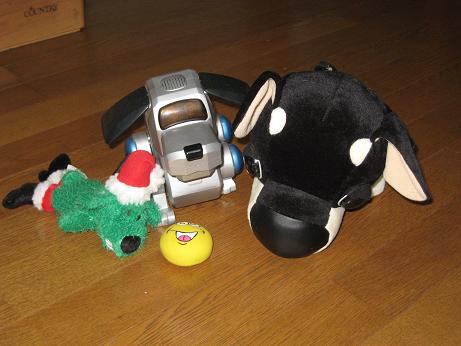 2006年12月１２日最近のお気に入り♪.JPG