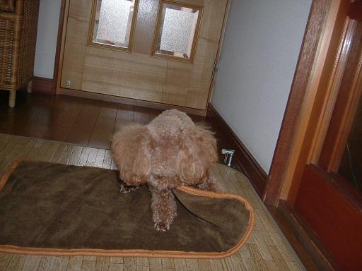 2006年10月14日8.JPG