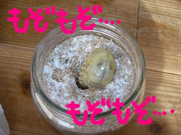 2007-1-28パパ誕生会＆メルちゃん 002.jpg