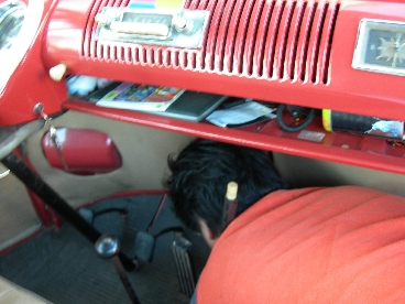 2006-11-12さんばちゃん冬支度 052.jpg