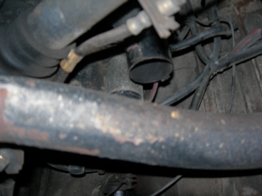 2006-11-12さんばちゃん冬支度 014.jpg