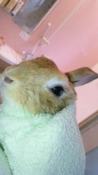 「これがスマキかぁ。。。」