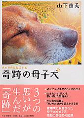 奇跡の母子犬.jpg