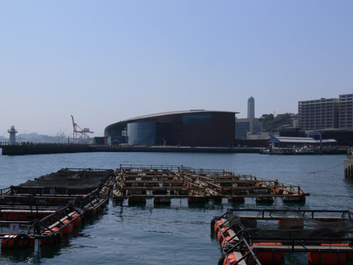 ふくのいる水族館.jpg