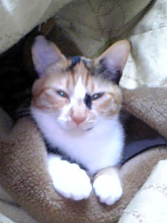 うっとり