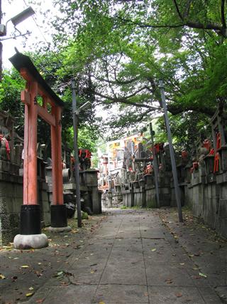 20110731233810.jpg