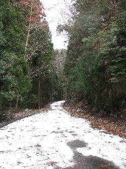 20100116111855.jpg