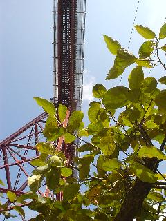 20060826112508.jpg