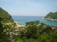 20060826112603.jpg