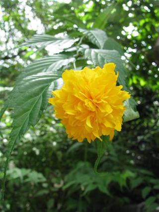 20110809105228.jpg