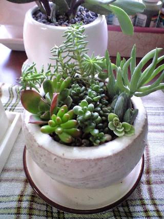 20080802102119.jpg