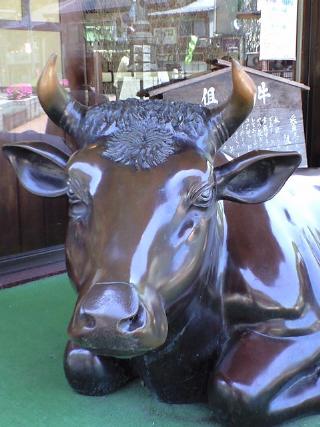 20080517121144.jpg