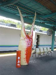 20060826113833.jpg