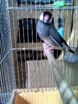 20061216125227.jpg