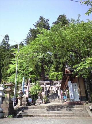 20080523120340.jpg
