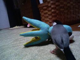 20060914092443.jpg