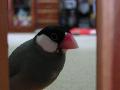 20060610011051.jpg