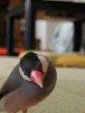 20060610011146.jpg