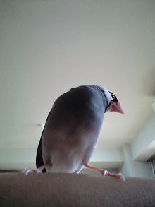 20070913031948.jpg