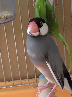 20070815090935.jpg