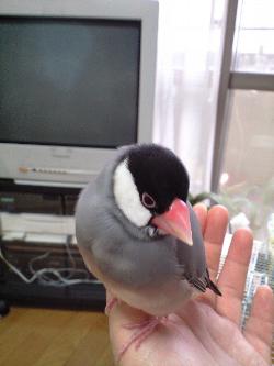20071101021857.jpg