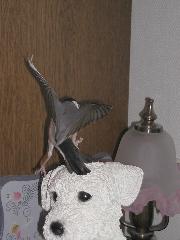 20060807015415.jpg