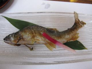 20100913125011.jpg