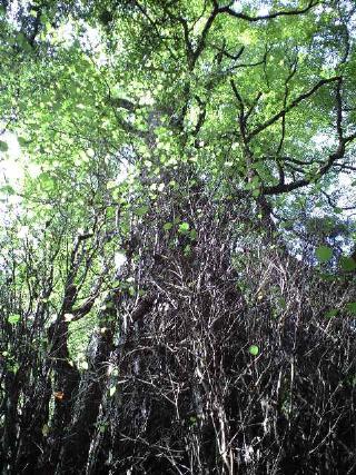 20100913122353.jpg