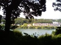 20070625104917.jpg