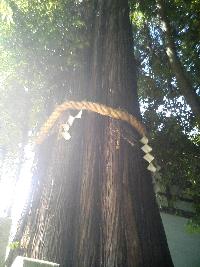 20070625104931.jpg